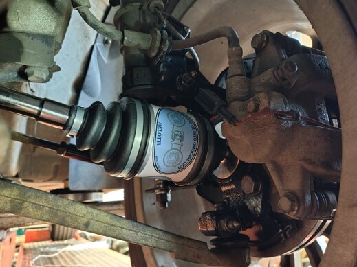 img_20260810_123803198_hdr[1].jpeg